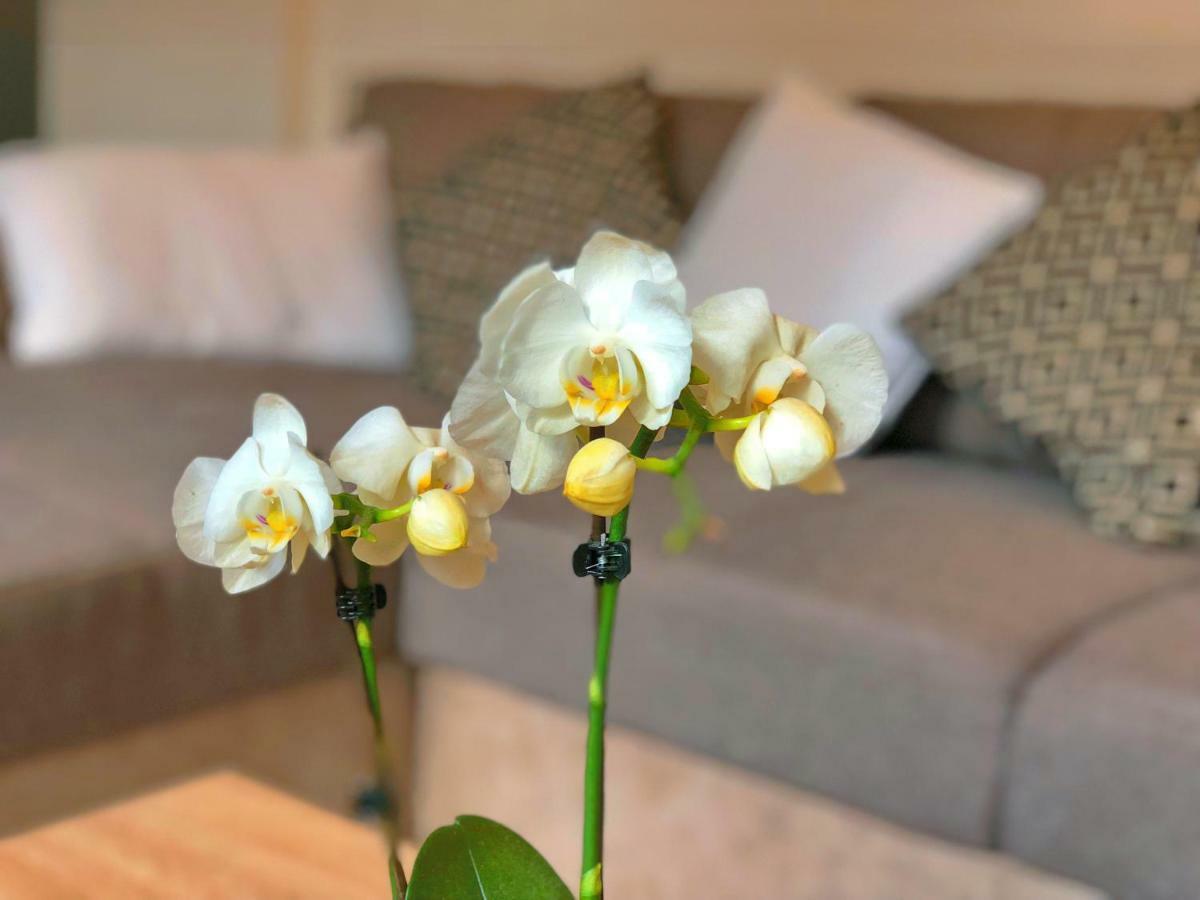Residence St-Martin Roubaix Ngoại thất bức ảnh